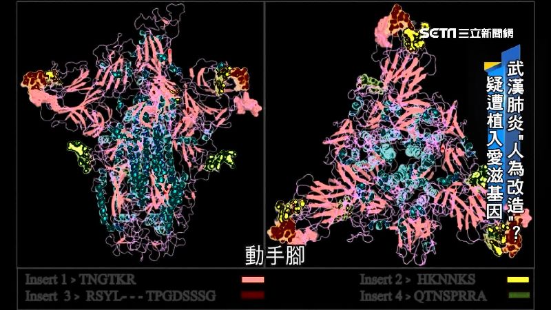 武漢肺炎人造？科學家：4序列似愛滋