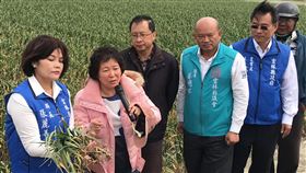 雲林蒜頭葉面黃化　張麗善與專家現勘雲林縣田間蒜頭葉面呈現黃化現象，雲林縣長張麗善（左1）、台南區農業改良場栽培管理專家趙秀淓（左2）等人4日現勘，初步判斷非病蟲害所致。　中央社記者姜宜菁攝　109年2月4日