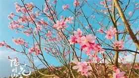 名家專用／旅遊滔客誌（勿用）