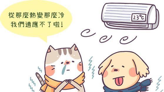 【汪喵生活家】犬貓體溫調節能力差！