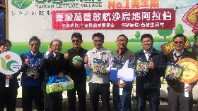 台灣萵苣首航外銷沙國