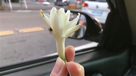 夜來香,玉蘭花,心機(爆怨公社)