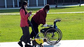 寒流減弱氣溫回升　民眾外出散步中央氣象局2日表示，白天起寒流逐漸減弱，氣溫回升，預測北部、東北部及東部地區高溫攝氏20、21度。桃園市一處公園，長者由外籍移工陪同散步。中央社記者施宗暉攝　109年2月2日