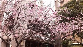 名家專用／台灣旅行趣（勿用）