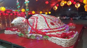 澎湖元宵乞龜　大米龜吸睛