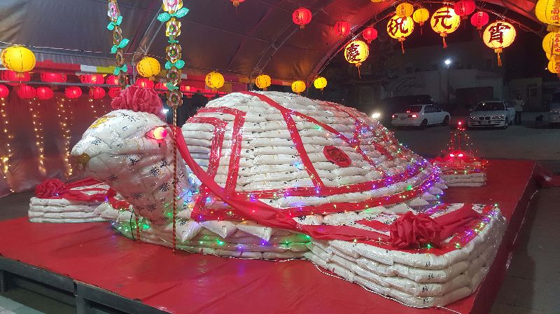 澎湖乞龜鬧元宵　大米龜金龜吸睛