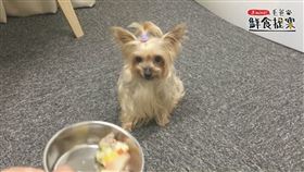 名家專用／毛起來MAOUP（勿用）