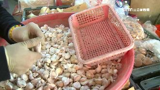 吃蒜頭提升免疫力　伸港蒜頭減產5成