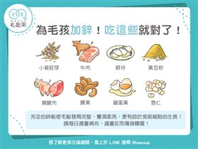 ▲（圖／翻攝自毛起來）