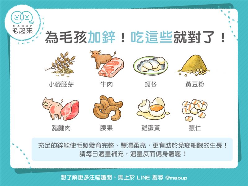 為毛孩加鋅！吃這些就對了！