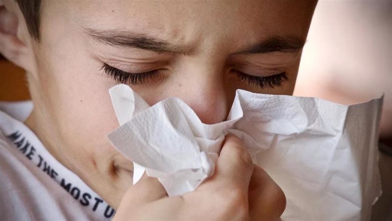 醫師表示，過敏性鼻炎屬於慢性且容易反覆發作的疾病，與體質、環境及免疫反應密切相關。(示意圖／翻攝自Pixabay)