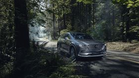 ▲MAZDA CX-9（圖／翻攝網路）