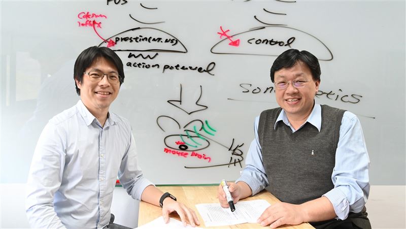 清大用超音波　治癒小鼠巴金森氏症
