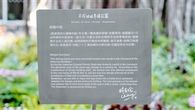 林志玲永久認養婚禮花園  南美館命名幸福花園藝人林志玲去年在南美館1館舉辦婚禮，她因喜愛館內榕樹景觀，提出以個人名義永久認養榕樹區花園，南美館也將這座花園命名為「志玲姊姊的幸福花園」。（南美館提供）中央社記者鄭景雯傳真  109年2月7日