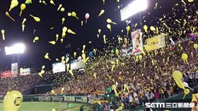 阪神虎主場施放氣球。（資料圖／讀者提供）