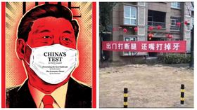 ▲習近平、文革布條（組合圖，資料畫面）