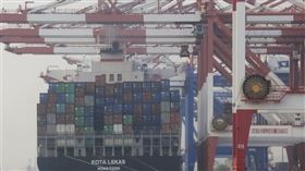 財政部7日公布1月出口250.7億美元，比2019年同月衰退7.6%，終止「連二紅」。