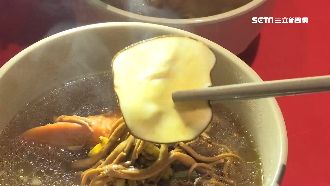 「海底椰」清熱降火  養肺抗肺炎！