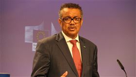 世衛秘書長籲打擊不實資訊　減少疫苗猶豫心態世界衛生組織秘書長譚德塞12日在歐盟表示，須打擊網路不實資訊，減少民眾「疫苗猶豫」心態。中央社記者唐佩君布魯塞爾攝 108年9月13日