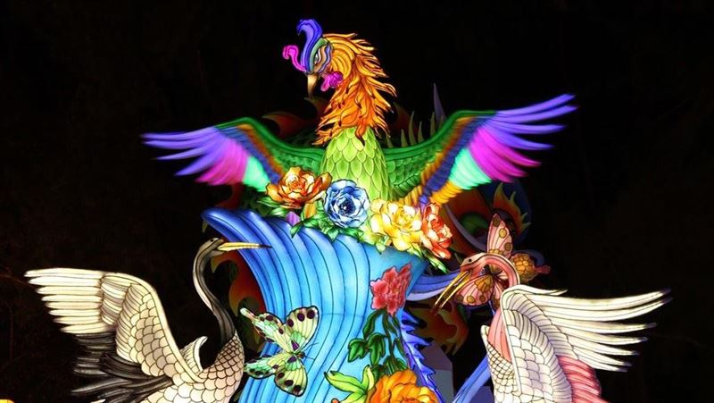 台灣燈會展開　燈王鳳凰來自監獄