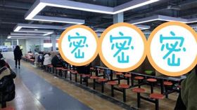  大陸,肺炎,紙板,餐廳,疫情（圖／翻攝網路）