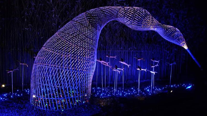 花東海岸原住民日常　台灣燈會看得到