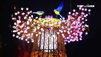 表演者原妝登場　台灣燈會「罩」樣賞