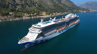 疫情擴大！鑽石公主號又百名乘客不適