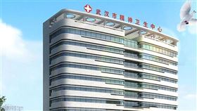 武漢市心理醫院（圖／翻攝自武漢市心理醫院官網）