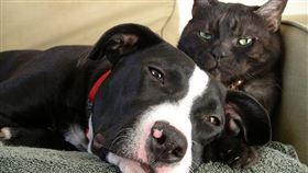 名家專用／毛起來MAOUP（勿用）