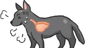 名家專用／毛起來MAOUP（勿用）