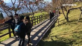 文 無薪假躲疫1800