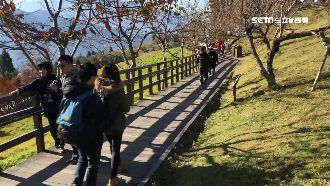今高溫飆30度 下周這天鋒面轉濕冷