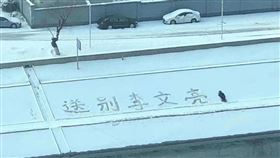 李文亮從吹哨者到造謡者，染疫後死在自己示警的病毒手上，這過程揪心且驚悚
圖／翻攝自李艷秋的新聞夜總會