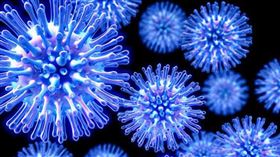 名家專用／草根影響力新視野（勿用）
