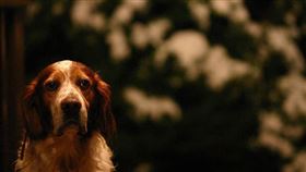 名家專用／毛起來MAOUP（勿用）