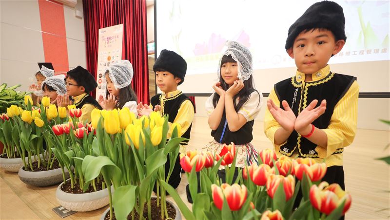 士林官邸鬱金香展　14日情人節開幕