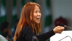 民進黨邀中研院專家報告武漢肺炎因應策略（3）因應武漢肺炎疫情延燒，民進黨中常會邀請中研院生醫所兼任研究員何美鄉（圖）報告新型冠狀病毒疫情預測及因應策略，何美鄉呼籲民眾不要緊張，只要資源放在對的地方不會不足，對政府要有信心。中央社記者王騰毅攝  109年2月5日