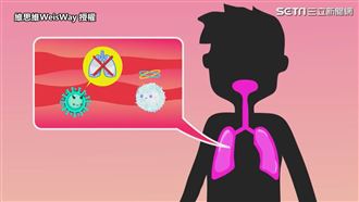 一次懂病毒原理和途徑　網紅教４招