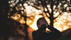 留學生來台念書！網路用語把他搞瘋…巴西哥崩潰：體諒一下（圖／翻攝自Pixabay）