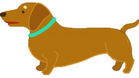 名家專用／毛起來MAOUP（勿用）