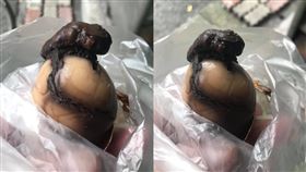 茶葉蛋一剝驚見「燒焦青蛙抱蛋」！　謎樣精華內行直喊：這個才好吃  圖/爆廢公社公開版
