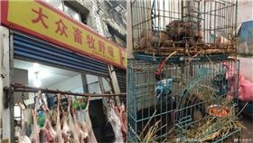 大眾畜牧野味,武漢肺炎,華南海鮮市場／翻攝微博