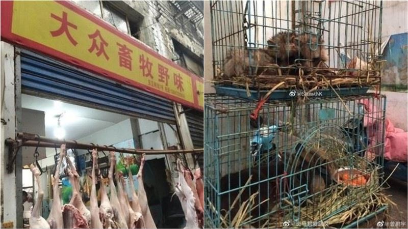 實驗室距海鮮市場僅3百米　專家：扯