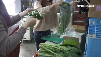5百噸有機菜成苦主　雲林推網購助農