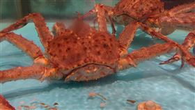 記者鍾志鵬 徐翊中 攝影＋ 翻攝 tracking the wuhan coronavirus 網站