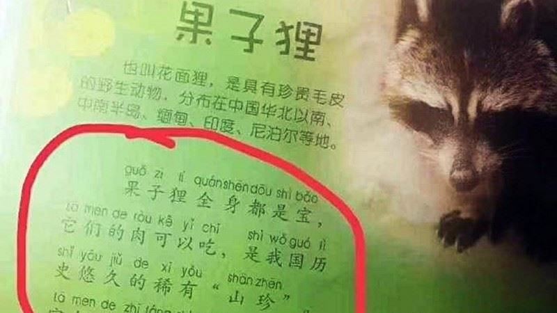 從小教育？武漢童書稱：果子狸可以吃