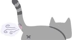 名家專用／毛起來MAOUP（勿用）