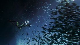 名家專用／Money錢（勿用）