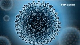 難捉摸! 冠狀病毒之父賴明詔:史上最強病毒
